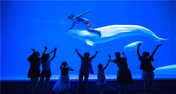 龙宫大白鲸世界