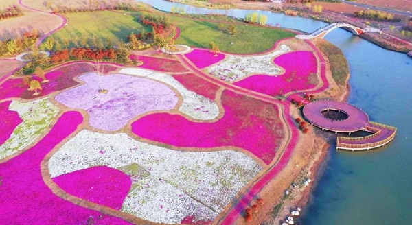 新鲜出炉！2021年白马湖向日葵的故事景区赏花攻略