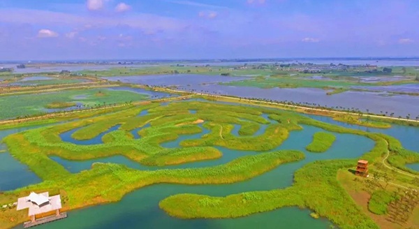 2022世界湿地日 | 江苏淮安白马湖国家湿地公园祝您新春快乐！